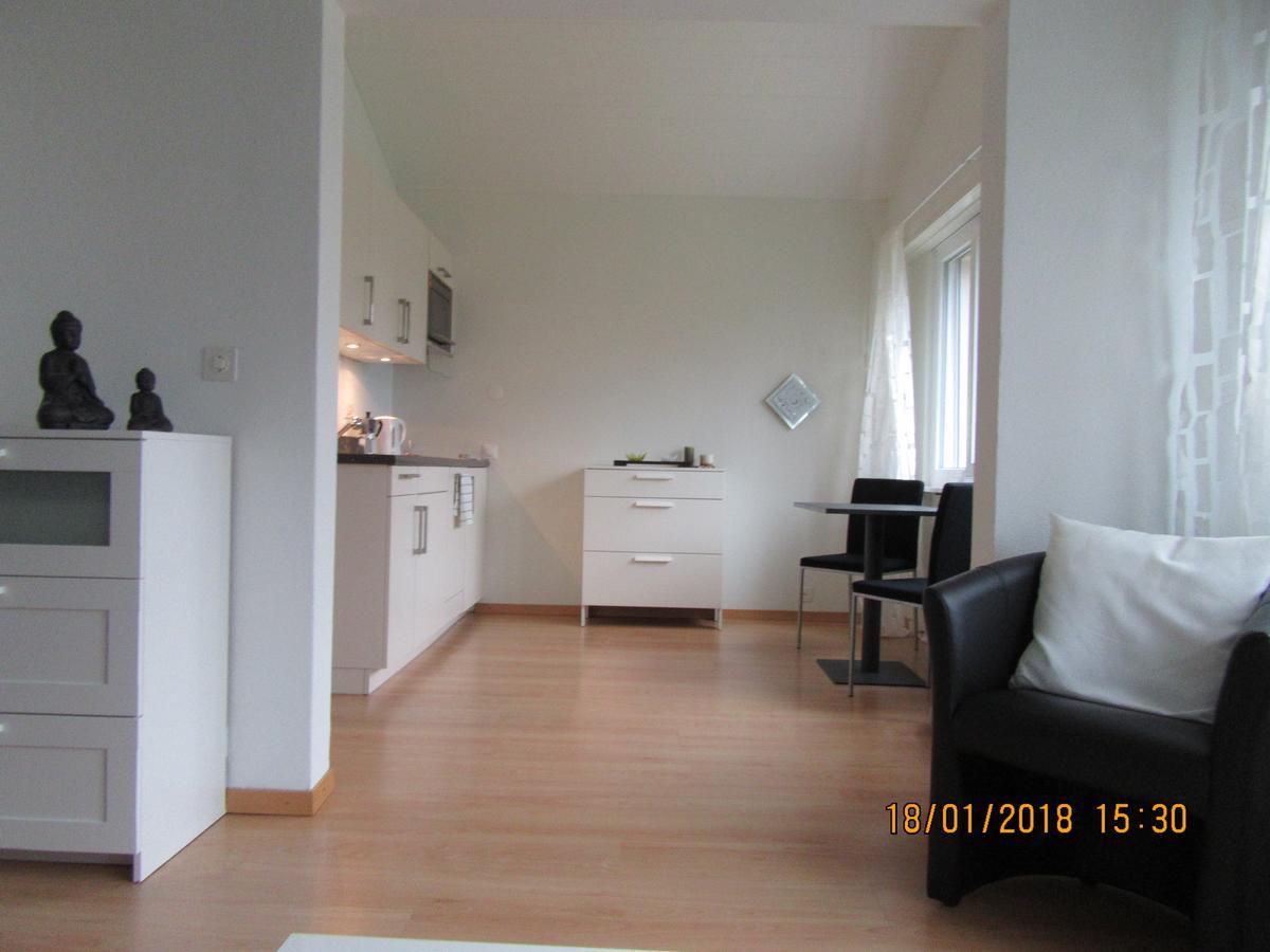 Le Debarcadere Apartment Saint Sulpice  Exterior photo